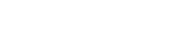 SSIP Safety Schemes in Procurement