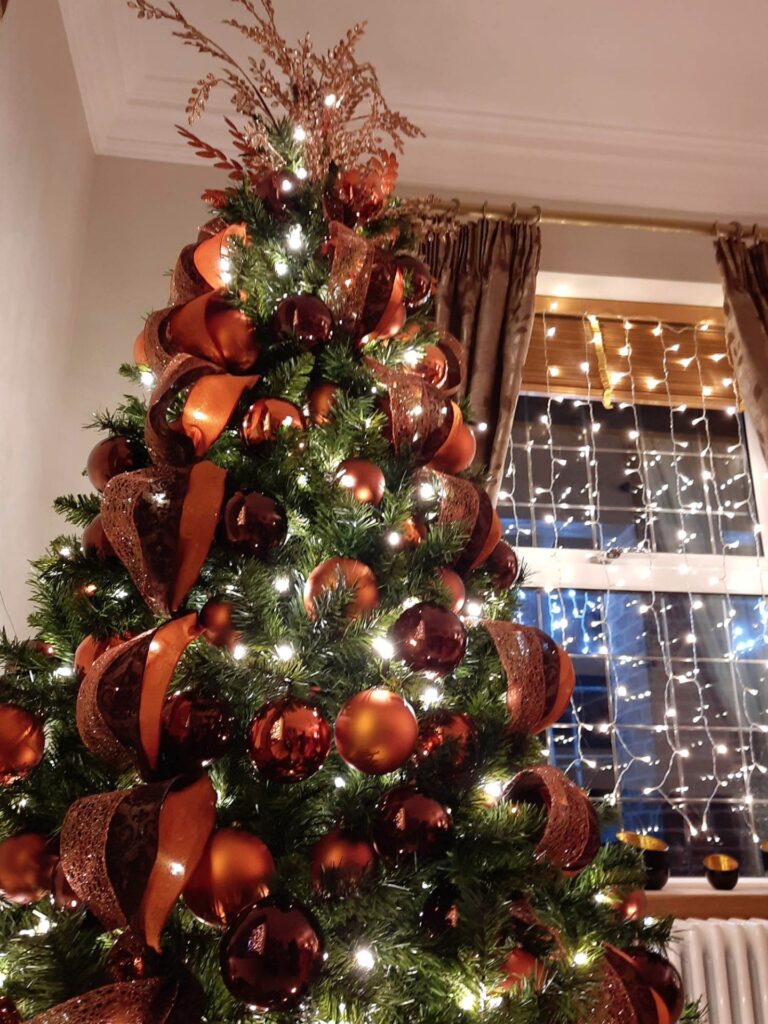 Residential Christmas Decorations