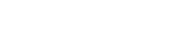 SSIP Safety Schemes in Procurement